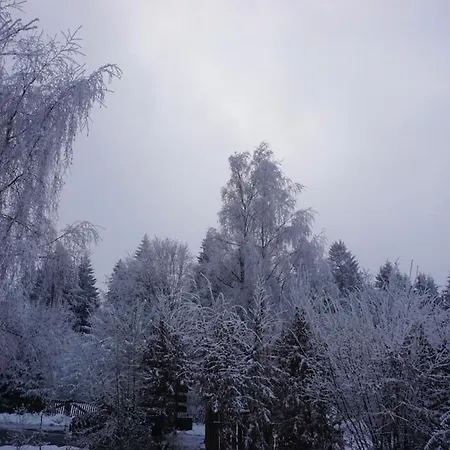 Vogelkirsche Daire