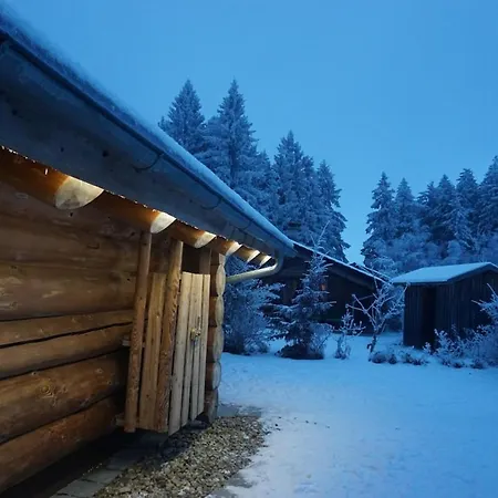 Vogelkirsche Sankt Englmar