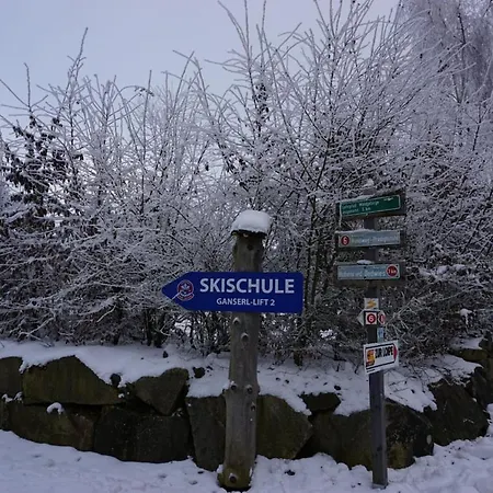 Vogelkirsche * Sankt Englmar