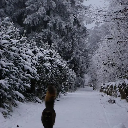 Apartament Vogelkirsche
