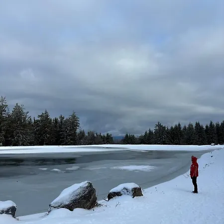 Vogelkirsche Apartament *
